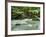 Rainforest, Beauchamp Falls, Great Ocean Road, Otway N.P., Victoria, Australia-Thorsten Milse-Framed Photographic Print