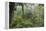 Rainforest Canopy Walkway, Sabah, Borneo, September 2015-Adrian Davies-Framed Premier Image Canvas