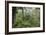 Rainforest Canopy Walkway, Sabah, Borneo, September 2015-Adrian Davies-Framed Photographic Print