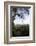 Rainforest Canopy. Yasuni NP, Amazon Rainforest, Ecuador-Pete Oxford-Framed Photographic Print