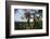 Rainforest Canopy. Yasuni NP, Amazon Rainforest, Ecuador-Pete Oxford-Framed Photographic Print