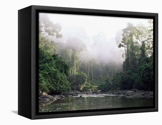 Rainforest, Danum Valley, Sabah, Malaysia, Island of Borneo, Southeast Asia-Lousie Murray-Framed Premier Image Canvas