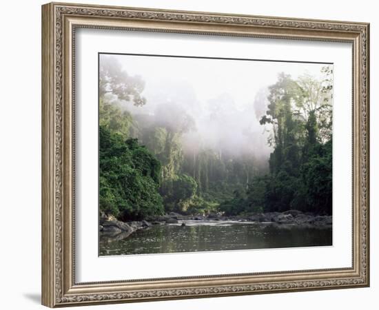 Rainforest, Danum Valley, Sabah, Malaysia, Island of Borneo, Southeast Asia-Lousie Murray-Framed Photographic Print