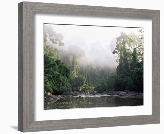 Rainforest, Danum Valley, Sabah, Malaysia, Island of Borneo, Southeast Asia-Lousie Murray-Framed Photographic Print