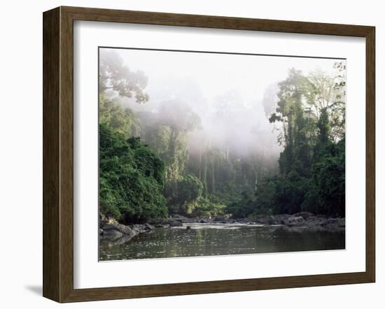 Rainforest, Danum Valley, Sabah, Malaysia, Island of Borneo, Southeast Asia-Lousie Murray-Framed Photographic Print