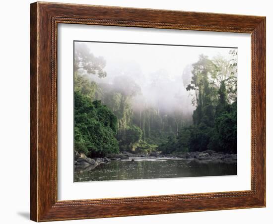 Rainforest, Danum Valley, Sabah, Malaysia, Island of Borneo, Southeast Asia-Lousie Murray-Framed Photographic Print