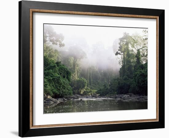 Rainforest, Danum Valley, Sabah, Malaysia, Island of Borneo, Southeast Asia-Lousie Murray-Framed Photographic Print