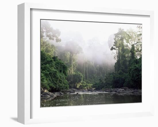 Rainforest, Danum Valley, Sabah, Malaysia, Island of Borneo, Southeast Asia-Lousie Murray-Framed Photographic Print