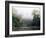 Rainforest, Danum Valley, Sabah, Malaysia, Island of Borneo, Southeast Asia-Lousie Murray-Framed Photographic Print