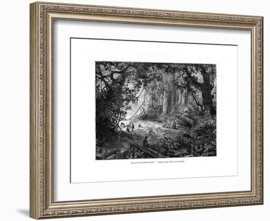 Rainforest in British Honduras, 19th Century-Edouard Riou-Framed Giclee Print