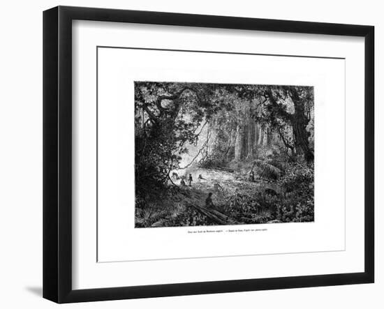 Rainforest in British Honduras, 19th Century-Edouard Riou-Framed Giclee Print