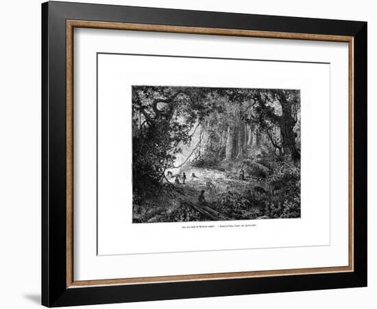 Rainforest in British Honduras, 19th Century-Edouard Riou-Framed Giclee Print