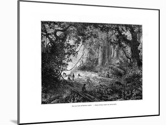 Rainforest in British Honduras, 19th Century-Edouard Riou-Mounted Giclee Print