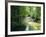 Rainforest in Cape Tribulation National Park, Queensland, Australia-Amanda Hall-Framed Photographic Print