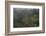 Rainforest in Tully Gorge National Park-Louise Murray-Framed Photographic Print