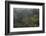 Rainforest in Tully Gorge National Park-Louise Murray-Framed Photographic Print