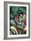 Rainforest Prince-Dann Spider-Framed Giclee Print