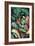 Rainforest Prince-Dann Spider-Framed Giclee Print