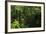 Rainforest Rain Storm, Yasuni NP, Amazon Rainforest Ecuador-Pete Oxford-Framed Photographic Print