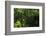 Rainforest Rain Storm, Yasuni NP, Amazon Rainforest Ecuador-Pete Oxford-Framed Photographic Print