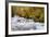 Rainforest River I-Douglas Taylor-Framed Photo