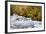 Rainforest River I-Douglas Taylor-Framed Photo