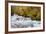 Rainforest River I-Douglas Taylor-Framed Photo