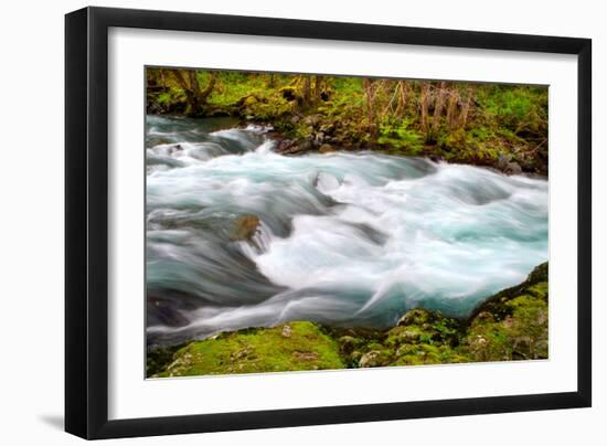 Rainforest River II-Douglas Taylor-Framed Photo