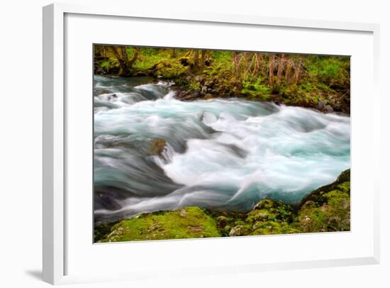 Rainforest River II-Douglas Taylor-Framed Photo