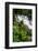 Rainforest Waterfall, Serra Da Bocaina NP, Parati, Brazil-Cindy Miller Hopkins-Framed Photographic Print