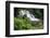 Rainforest Waterfall, Serra Da Bocaina NP, Parati, Brazil-Cindy Miller Hopkins-Framed Photographic Print