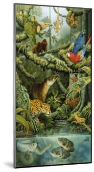 Rainforest-Tim Knepp-Mounted Giclee Print