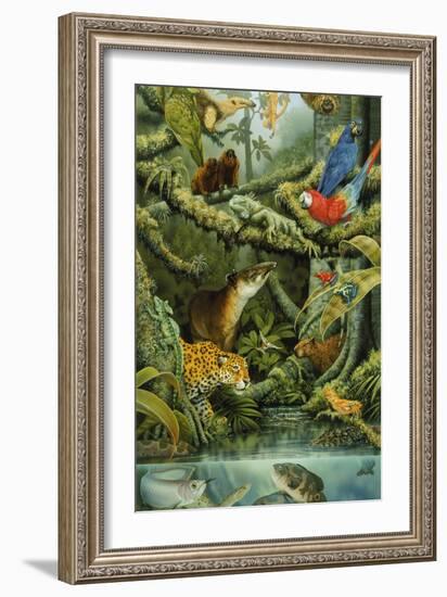 Rainforest-Tim Knepp-Framed Giclee Print