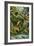 Rainforest-Tim Knepp-Framed Giclee Print