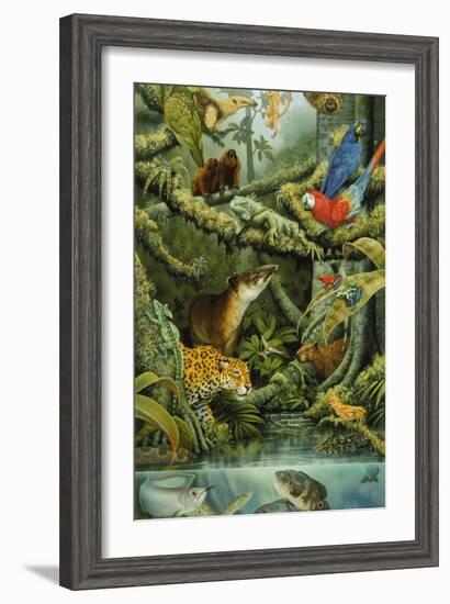 Rainforest-Tim Knepp-Framed Giclee Print