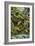 Rainforest-Tim Knepp-Framed Giclee Print