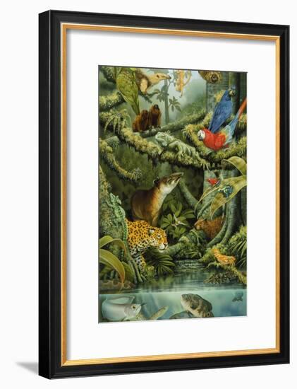 Rainforest-Tim Knepp-Framed Giclee Print