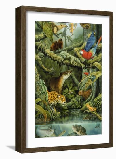 Rainforest-Tim Knepp-Framed Giclee Print