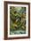 Rainforest-Tim Knepp-Framed Giclee Print