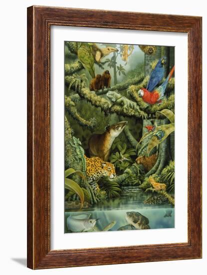 Rainforest-Tim Knepp-Framed Giclee Print