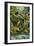 Rainforest-Tim Knepp-Framed Giclee Print