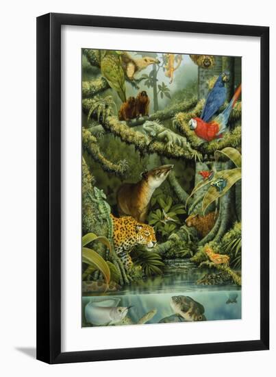 Rainforest-Tim Knepp-Framed Giclee Print