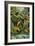 Rainforest-Tim Knepp-Framed Giclee Print