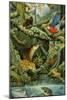 Rainforest-Tim Knepp-Mounted Giclee Print