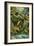 Rainforest-Tim Knepp-Framed Giclee Print