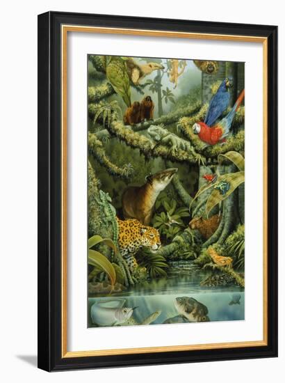 Rainforest-Tim Knepp-Framed Giclee Print