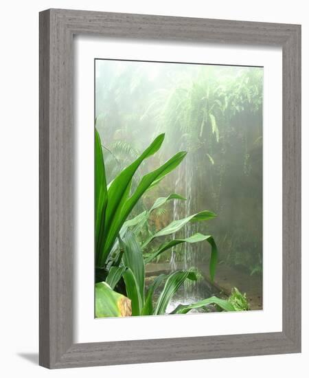 Rainforest-Audrey-Framed Giclee Print