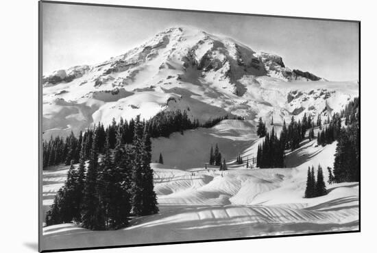 Rainier National Park - Early Spring in Paradise Valley Photograph-Lantern Press-Mounted Art Print