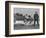 Rainiers Baseball Photograph - Seattle, WA-Lantern Press-Framed Premium Giclee Print