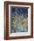 Raining Frogs and Fishes-Bill Bell-Framed Giclee Print